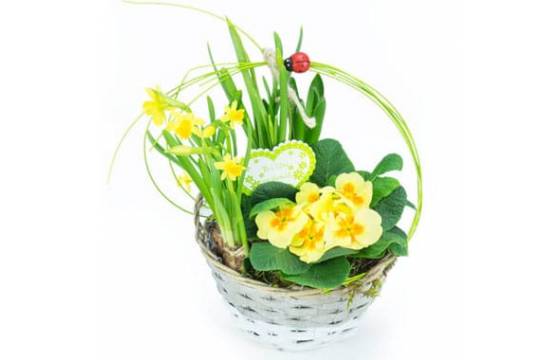 L'Agitateur Floral | Image de Panier printanier