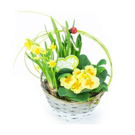 L'Agitateur Floral | Image de Panier printanier