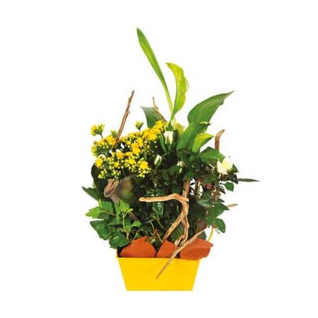 L'Agitateur Floral | image de la Composition de deuil jaune & blanche Intensité