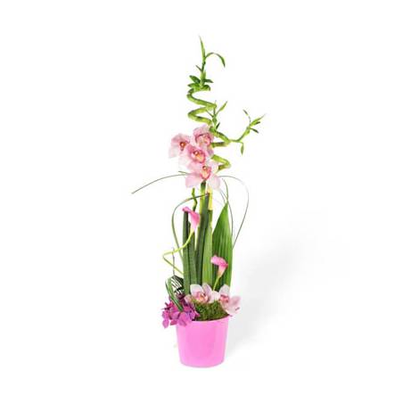 L'Agitateur Floral | image de la composition de fleurs dans les tons roses