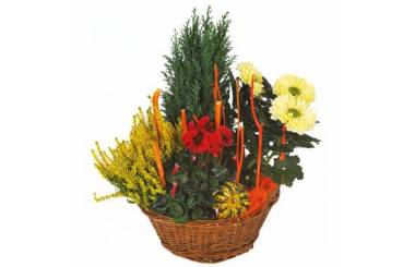 L'Agitateur Floral | image de la Composition de deuil rouge & jaune Jardin d'Hiver