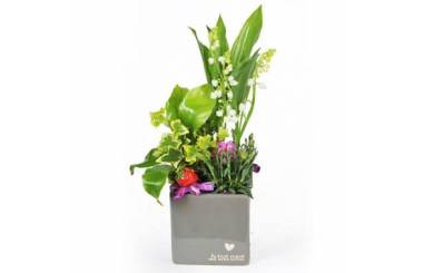 L'Agitateur Floral | image de la Composition Muguet Plaisir