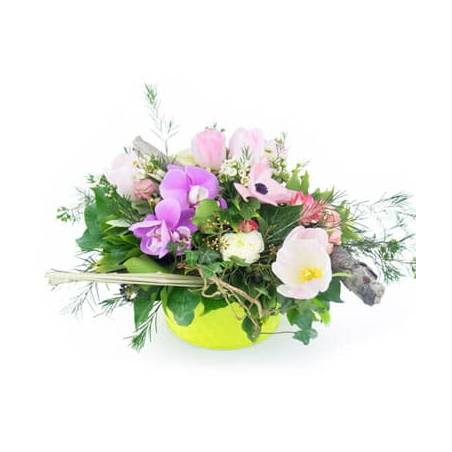 L'Agitateur Floral | Image de couverture composition Fleurs des Bois