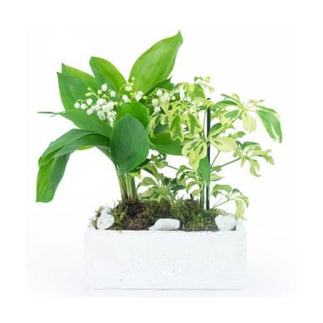 L'Agitateur Floral | image de la Composition de Muguet du nom de Brin de Détente