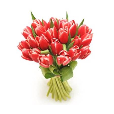 L'Agitateur Floral | image du Bouquet de tulipes rouges Perle Douce