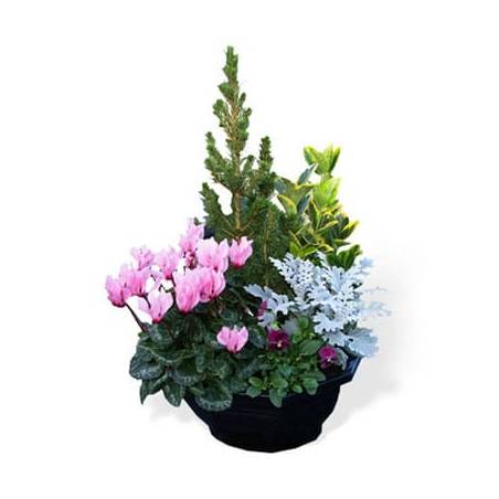 L'Agitateur Floral | Image de la coupe de plantes extérieures