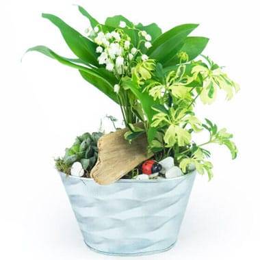 L'Agitateur Floral | image de la Composition de muguet Brin de Jardin