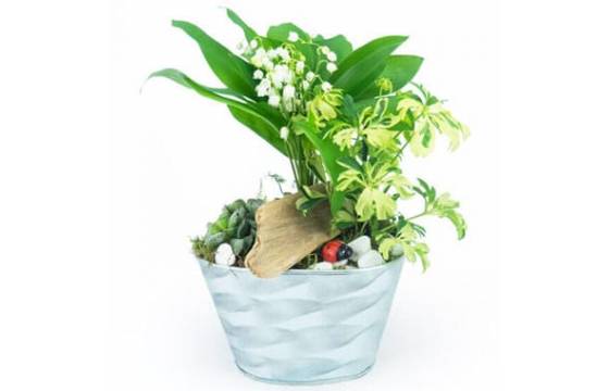 L'Agitateur Floral | image de la Composition de muguet Brin de Jardin