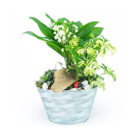 L'Agitateur Floral | image de la Composition de muguet Brin de Jardin