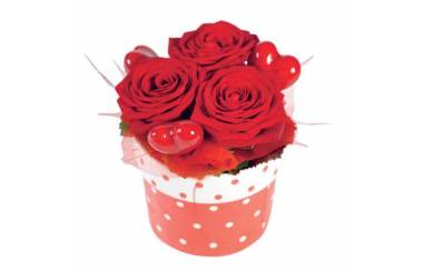 L'Agitateur Floral | image de la composition pas chères de roses rouges Roméo