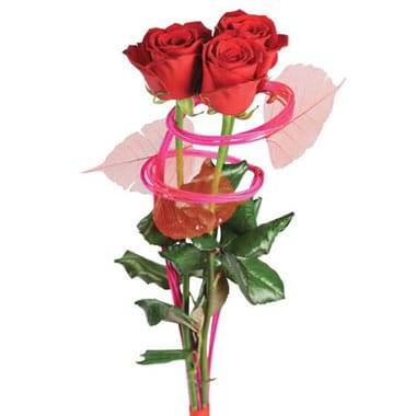 L'Agitateur Floral | Image du bouquet de trois roses rouges Ma Princesse