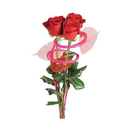 L'Agitateur Floral | Image du bouquet de trois roses rouges Ma Princesse