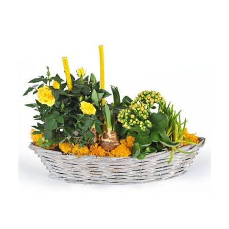 L'Agitateur Floral | image de la composition de plante dans les tons jaunes Etamine la fleuriste