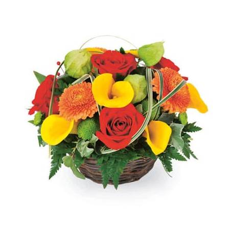 L'Agitateur Floral | Image de couverture composition colorée Maïa