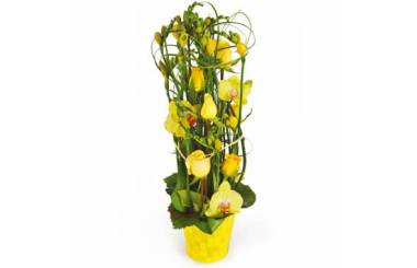L'Agitateur Floral | image de la composition de fleurs dans les tons jaunes Bora-Bora
