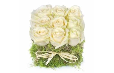 L'Agitateur Floral | image du carré de roses blanches déclaration