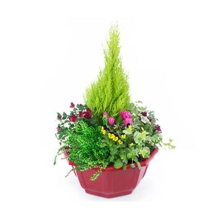 Agitateur Floral | coupe de plantes "Tendre Pensée"