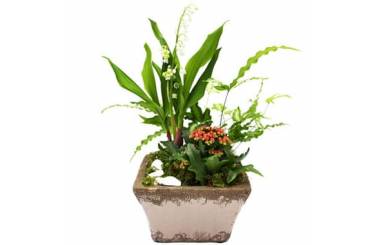 L'Agitateur Floral | image de la composition florale du nom de Mon Joli Muguet