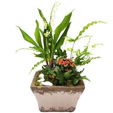 L'Agitateur Floral | image de la composition florale du nom de Mon Joli Muguet