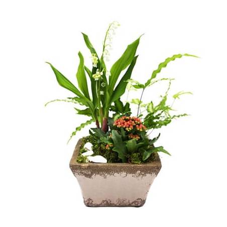 L'Agitateur Floral | image de la composition florale du nom de Mon Joli Muguet