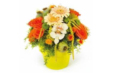 L'Agitateur Floral | image de la composition de fleurs Mignon