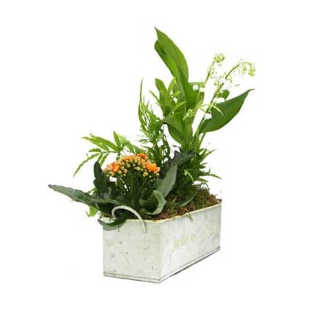 L'Agitateur Floral | image de la Composition 1er Mai Ronde de Muguet