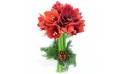 L'Agitateur Floral | image du Bouquet d'Amaryllis L'enchanteur