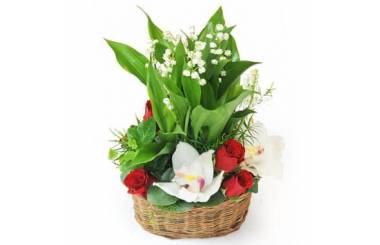 L'Agitateur Floral | image de la Composition de Muguet Prestige