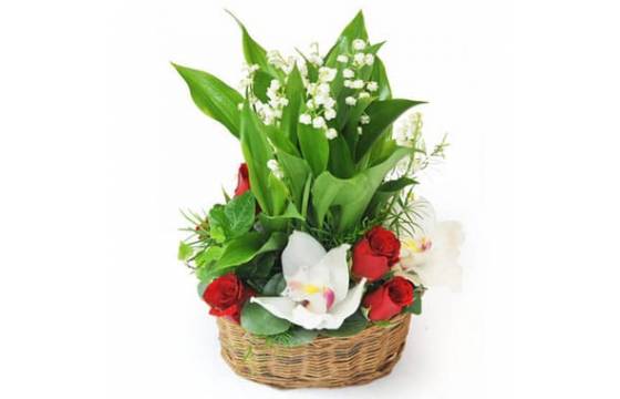 L'Agitateur Floral | image de la Composition de Muguet Prestige