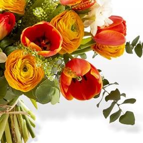 L'Agitateur Floral | mosaïque : vue sur les renoncules oranges