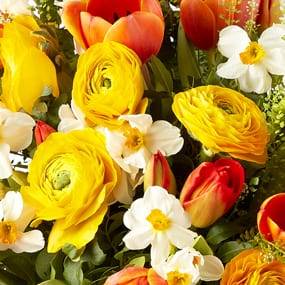 L'Agitateur Floral | mosaïque : vue sur les renoncules jaunes