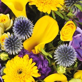 mozaique : un ensemble floral du bouquet de fleurs Antoine