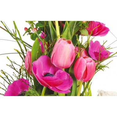 vue sur des tulipes et anémones rose de la composition Impérial