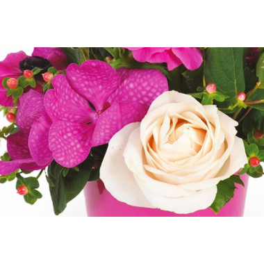 vue sur une orchidée et une rose blanche de la création florale