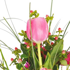 mosaïque : vue sur une tulipe rose