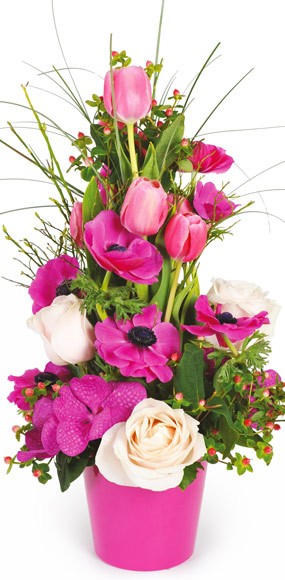 mosaïque : vue sur la composition de fleurs Impérial