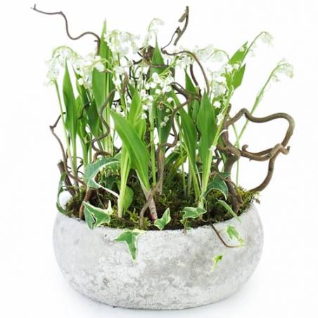 L'Agitateur Floral | Composition de griffes de Muguet "Esprit Forêt"