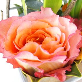 L'Agitateur Floral | zoom sur la rose de la Composition de Muguet & fleurs "Orange Mai"