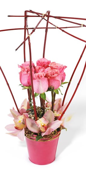 mozaique : composition de fleurs chrysalide