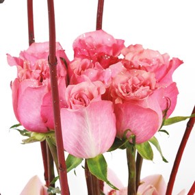 mozaique : vue sur les roses roses