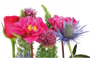 zoom sur le haut de la création florale