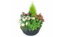 image de la Coupe de plantes roses & blanches "Hedera" |  L'Agitateur Floral