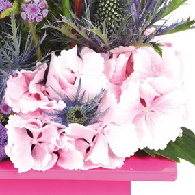 mozaique : vue sur les têtes d'hortensias