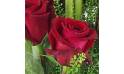 zoom sur une rose du Bouquet long de roses rouges "Saragosse" | L'Agitateur Floral