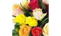 zoom sur le Bouquet rond de roses colorées "Malaga" | L'Agitateur Floral