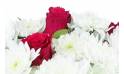Image zoom Bouquet rond blanc & rouge "Carthagène" | L'Agitateur Floral