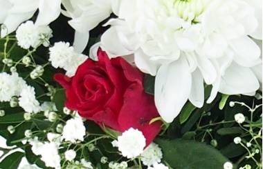Image zoom Bouquet rond blanc & rouge "Carthagène" | L'Agitateur Floral