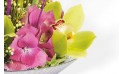 Composition florale : zoom sur une orchidée
