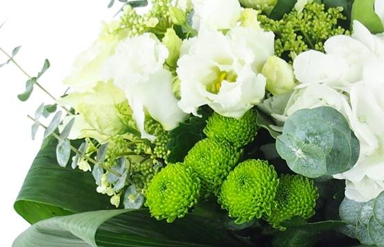 Image zoom Bouquet de fleurs sobre blanc "Castres" | L'Agitateur Floral