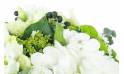 Image zoom Bouquet de fleurs sobre blanc "Castres" | L'Agitateur Floral